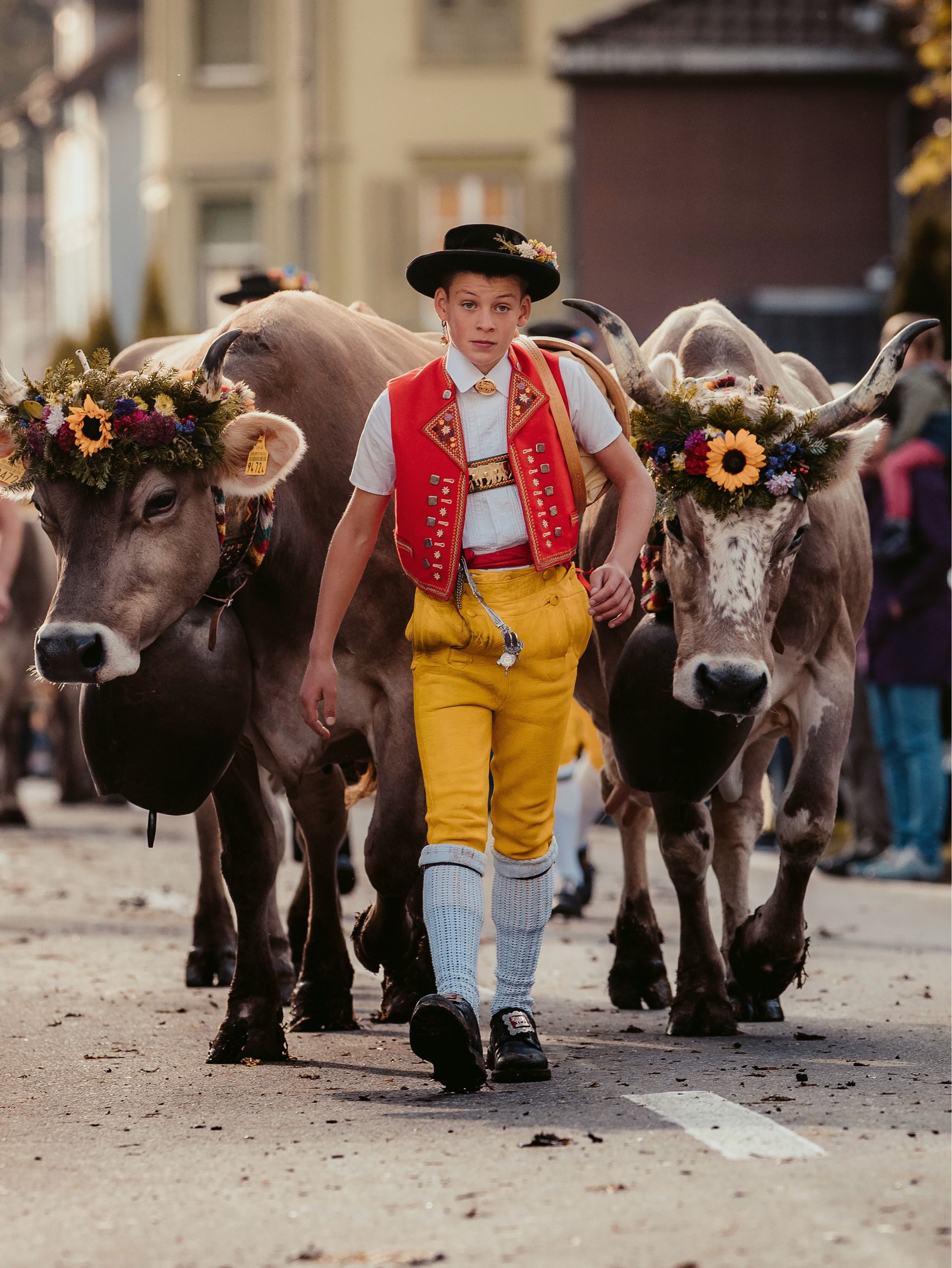 Appenzell Traditionen Alpaufzug