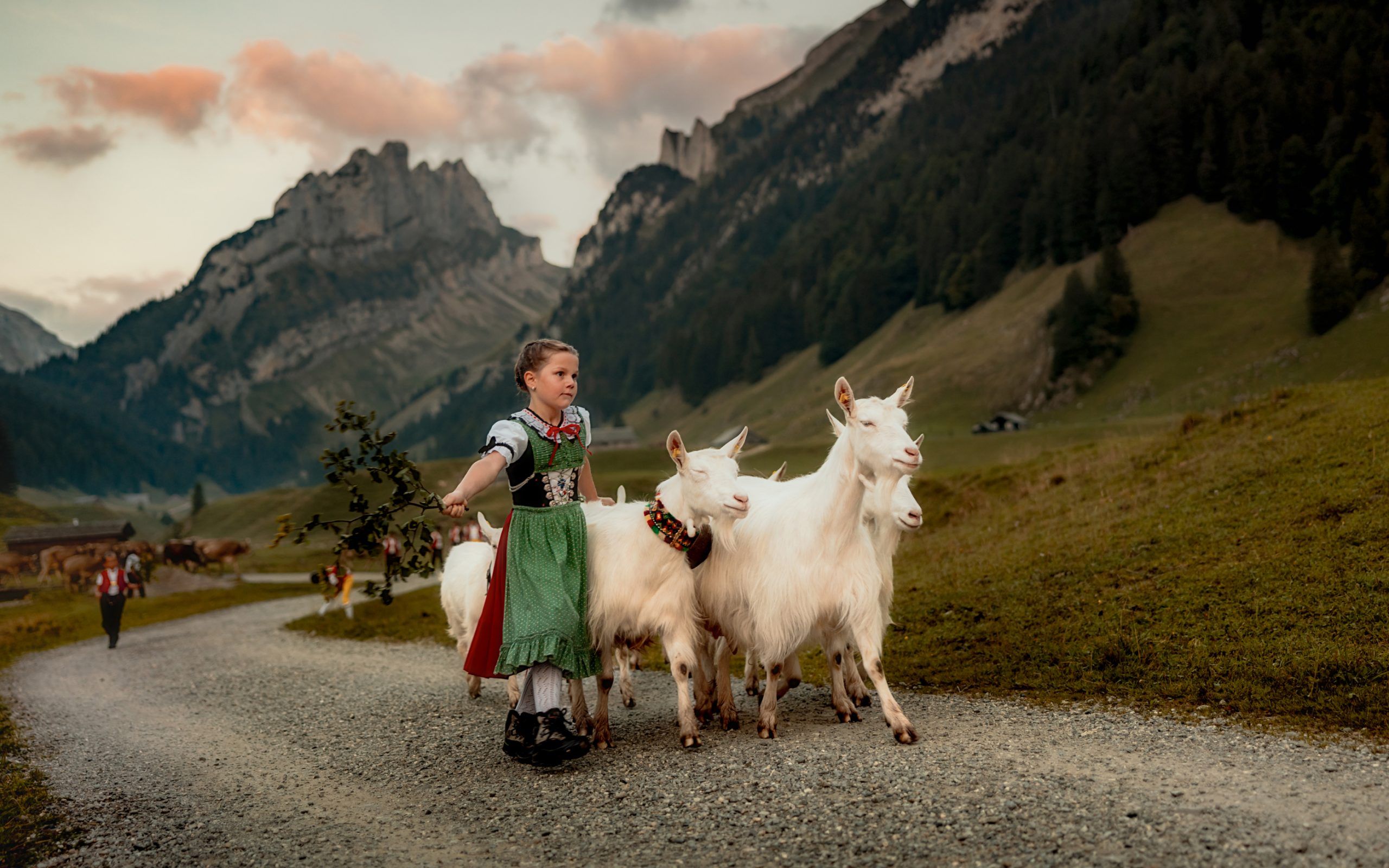 Appenzell Brauchtum Oeberefahre Platteboedeli