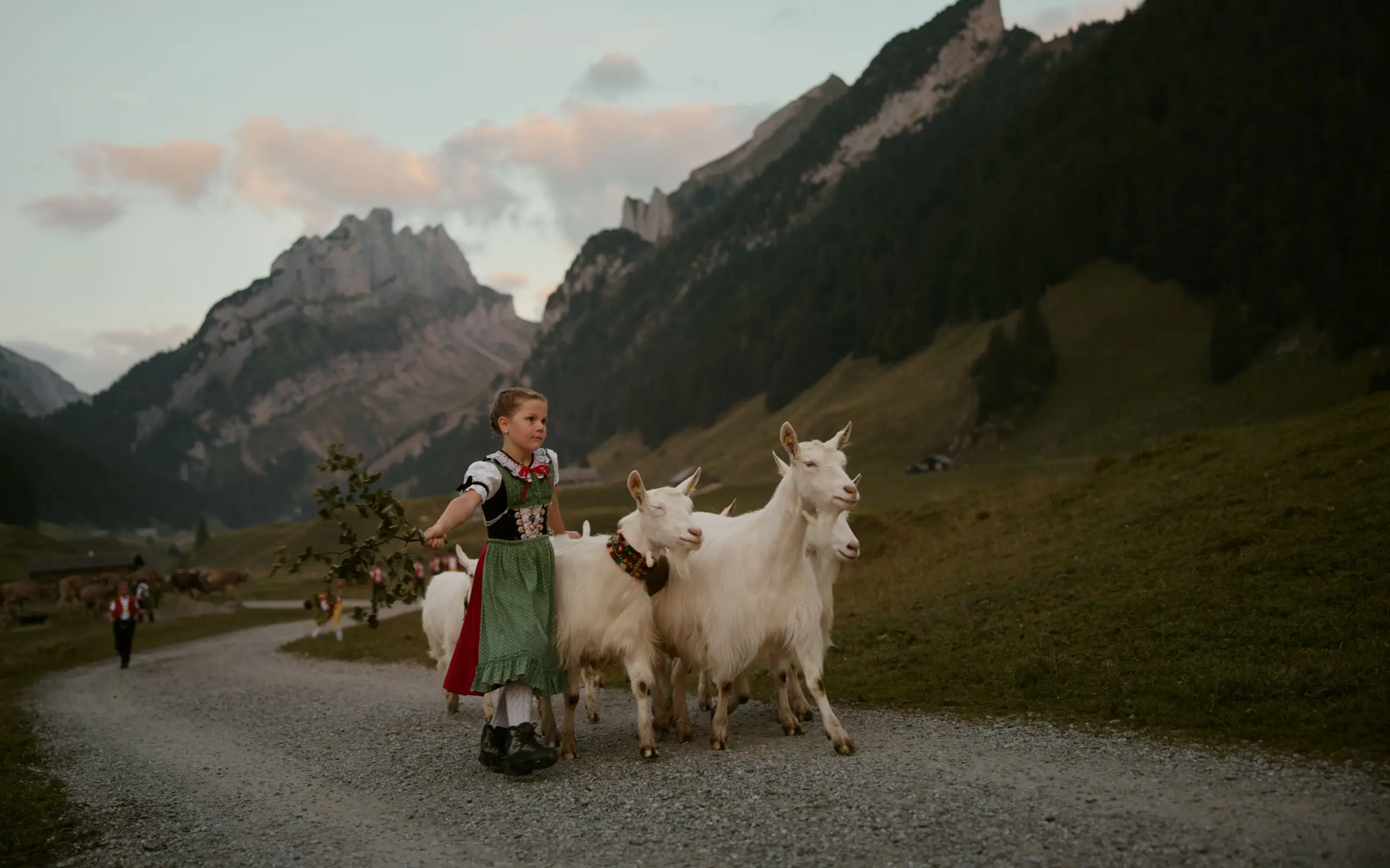 Mädchen in Appenzeller Tracht treibt Ziegen vom Plattenbödeli in Richtung Brülisau.