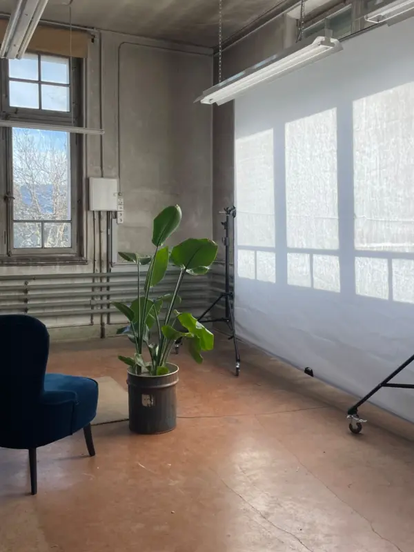 Fotostudio Pflanze Fenster Scrim Tageslicht