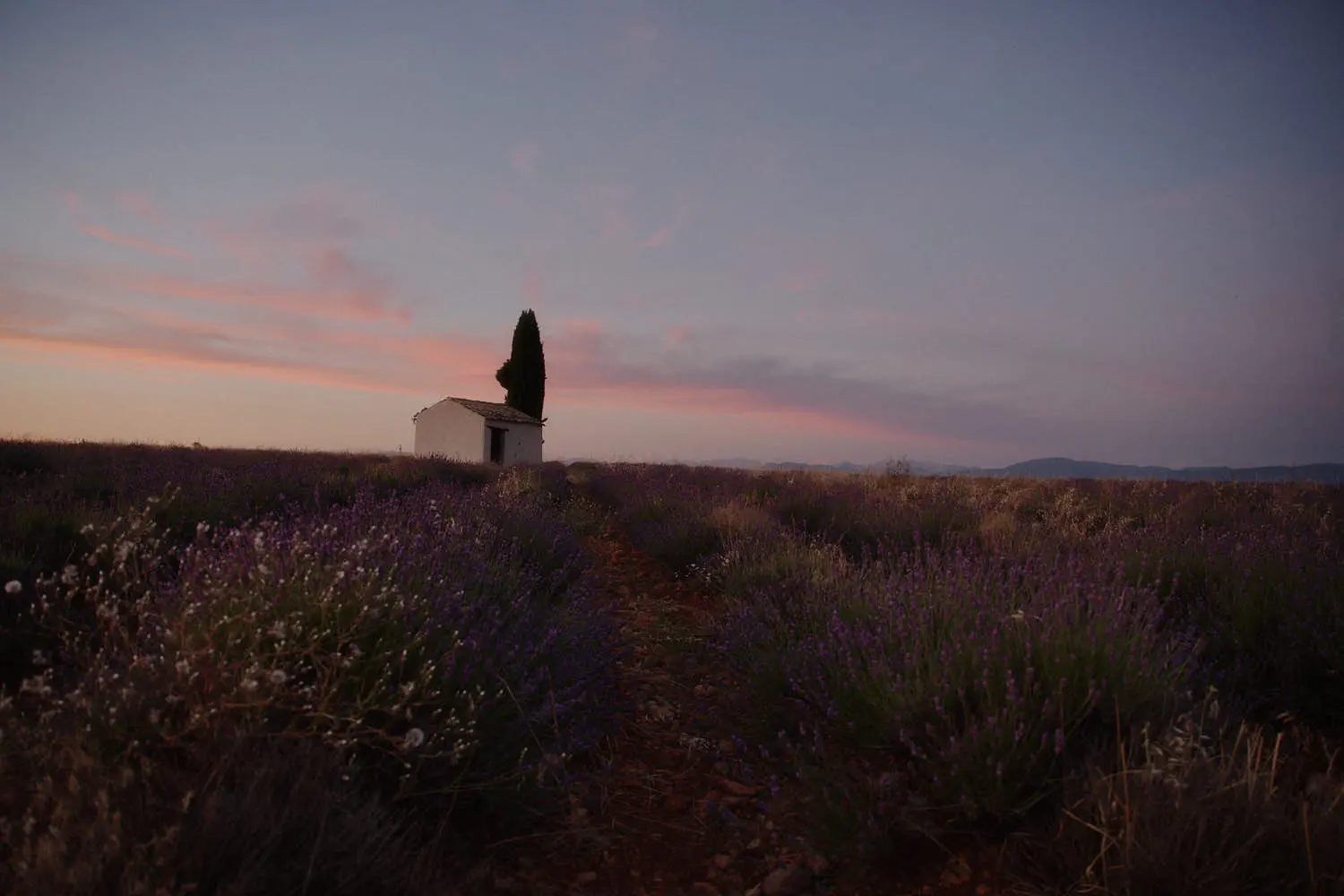 About 18 about us 15