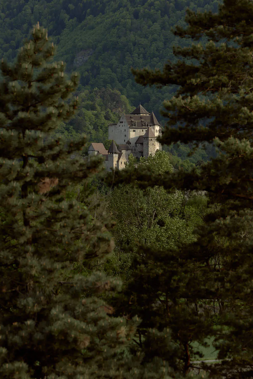 Burg Gutenberg in Balzers zwischen Kiefern – Hochzeitslocation in Liechtenstein