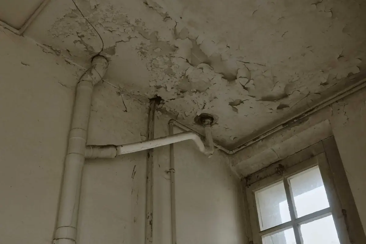 Fotograf St.Gallen 37 patina Fotostudio St.Gallen Alpstein Fotograf